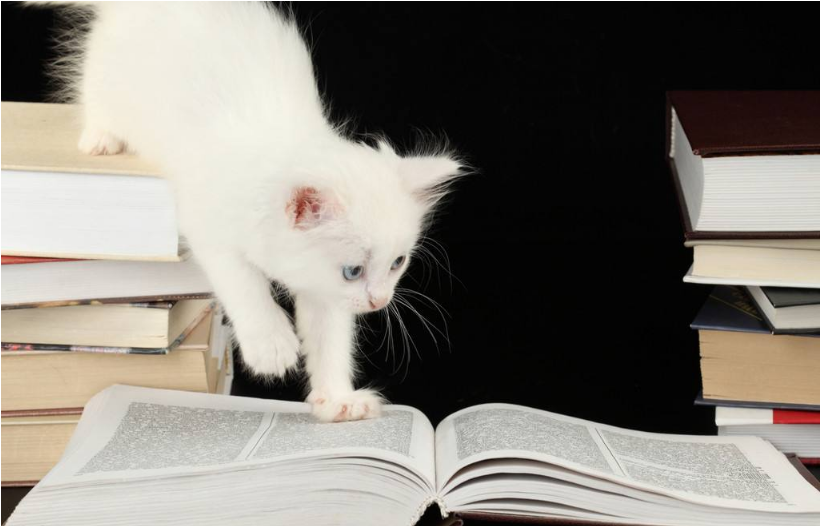 广州市自考缺考会怎么样?后果严重吗?(图1) 广州市自考缺考会怎么样?后果严重吗?(图1)