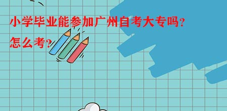 小学毕业能参加广州自考大专吗？怎么考？(图1)